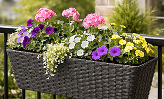 Plantepotter, Kasser og Kurve