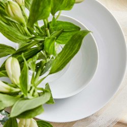 Aida Atelier Suppetallerken 21 cm. - 4 stk.