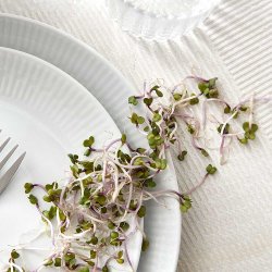 Aida Relief Middagstallerken 27 cm. - 4 stk.