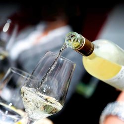 Alpina Hvidvinsglas 37 cl. - 6 stk.