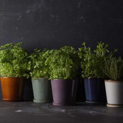 Bitz Urtepotteskjuler Med Underskl - 14 cm. - Grn/Sort