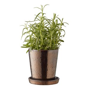 Bitz Urtepotteskjuler Med Underskl - 10 cm. - Sort/Bronze