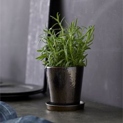 Bitz Urtepotteskjuler Med Underskl - 10 cm. - Sort/Bronze