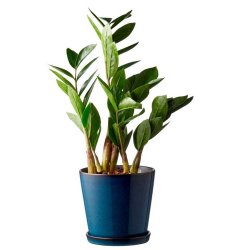 Bitz Urtepotteskjuler Med Underskl - 14 cm. - Bl/Sort