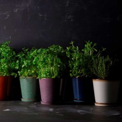 Bitz Urtepotteskjuler Med Underskl - 14 cm. - Bl/Sort