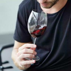 Bitz Rdvinsglas 58 cl. - 2 stk.