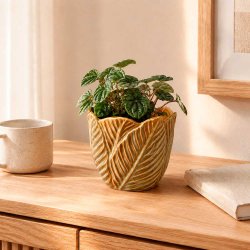 H�ndlavet Keramik Urtepotteskjuler Med K�lblade - 13,5x13,5 cm. - Gylden