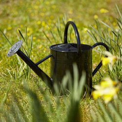 Dacore Vandkande 8 L - Sort