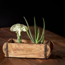 Dacore Murstensform Genbrugstr 30x9x14 cm Natur