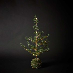 Dacore Cedertr� Med Kuglefod og Lysk�de Til Batteri 65 cm - Gr�n