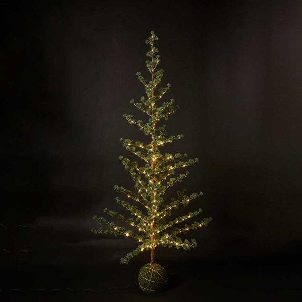 Dacore Juletr Med Kuglefod og Lyskde Med Adapter 170 cm - Grn