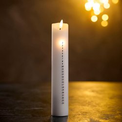 Day LED Kalenderlys m. Fjernbetjening