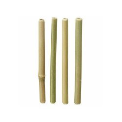 Genanvendelige Bambus Sugerr - 4 stk.