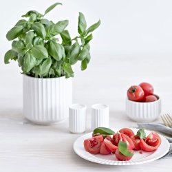Lyngby Porceln Tallerken - 23,5 cm.