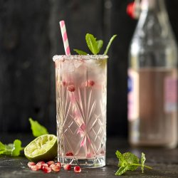 Lyngby Glas Melodia Highball - 36 cl. - 6 stk.