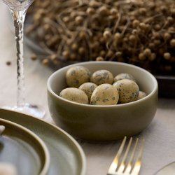 Studio Round North Sk�l �11 cm - Mat Gr�n/Mat Hvid