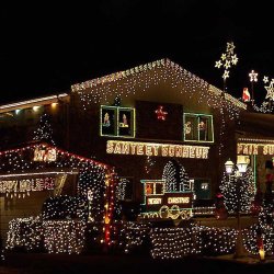 Pro Connect Deluxe Istap Lyskde 50 LED 2,5 m - Ekstra - Udendrs