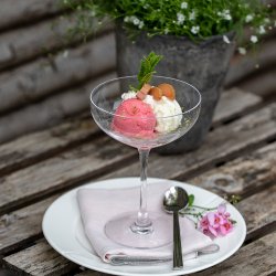 Rosendahl Premium Champagneskl - 39 cl. - 2 stk. 