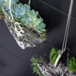 Rosendahl Karen Blixen Julehjerte - 25,6 cm. - Slv